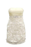 Womens Floral Applique Srapless Sheath Dress Sz 0 Ivory 120919Sr