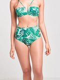 Sunny High Rise Swim Bottom Palm Tropical L Swimwear Bikini Palm Tropical